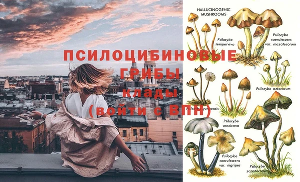 бутират Баксан