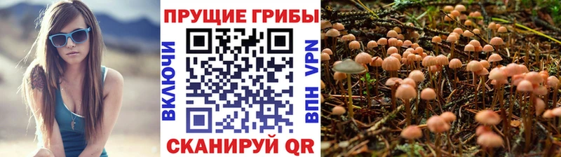 Галлюциногенные грибы Magic Shrooms  наркошоп  Киреевск 